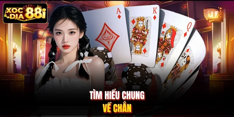 Tìm hiểu chung về chắn