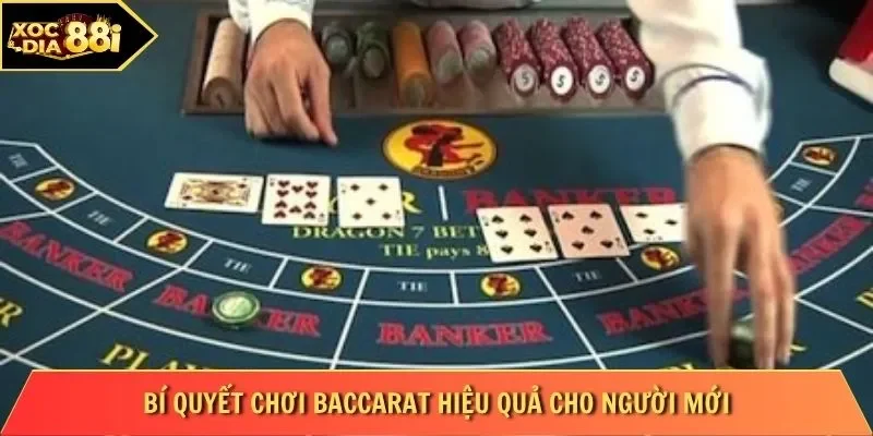 Bí quyết chơi Baccarat hiệu quả cho người mới